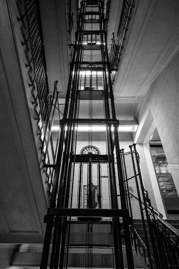 pexels-photo-32148782-1